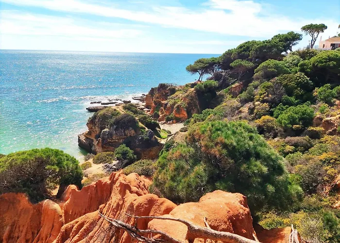 Modern Ocean, Garden & Pool View By Becherish البوفيرا